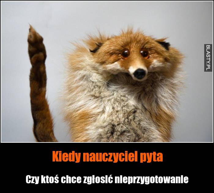 Kiedy nauczyciel pyta