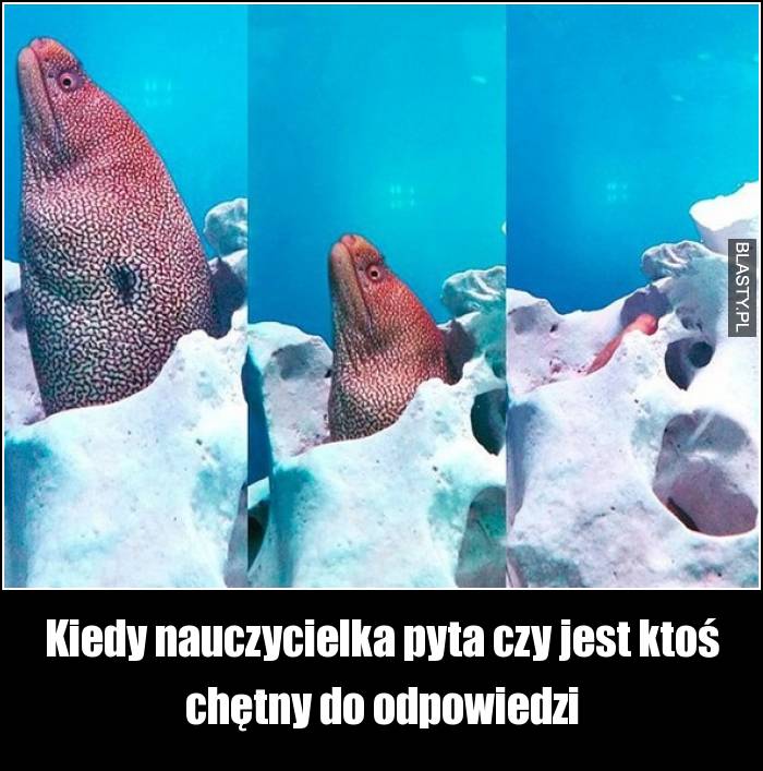 Kiedy nauczycielka pyta czy jest ktoś chętny do odpowiedzi