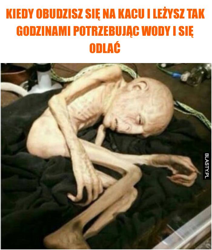 Kiedy obudzisz się na kacu i leżysz tak godzinami potrzebując wody i się odlać