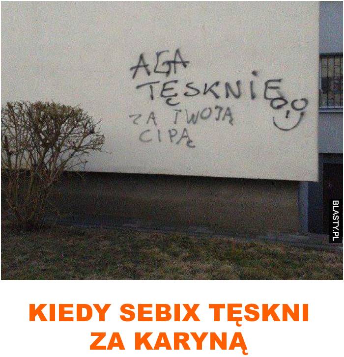 Kiedy sebix tęskni za karyną