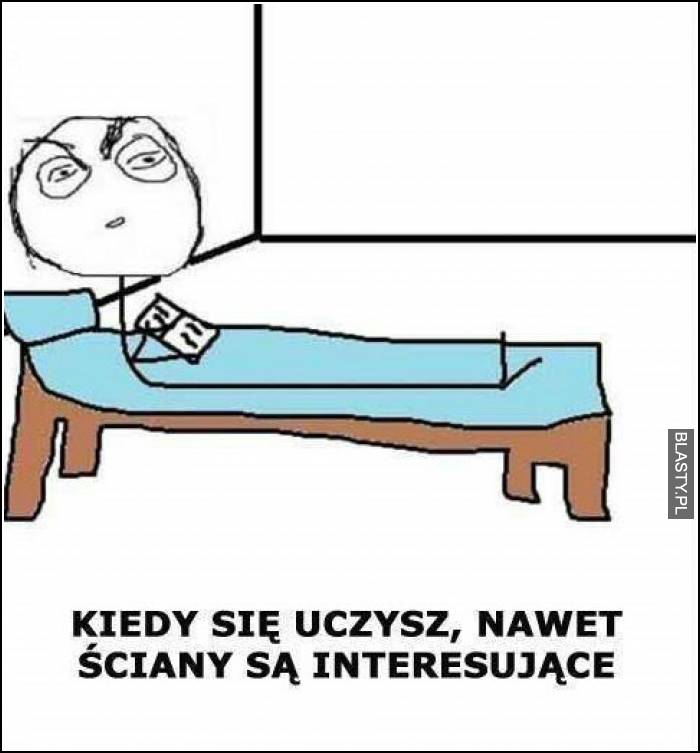 Kiedy się uczysz nawet ściany są interesujące