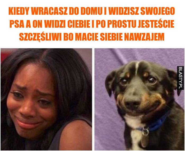 Kiedy wracasz do domu i widzisz swojego psa a on widzi Ciebie