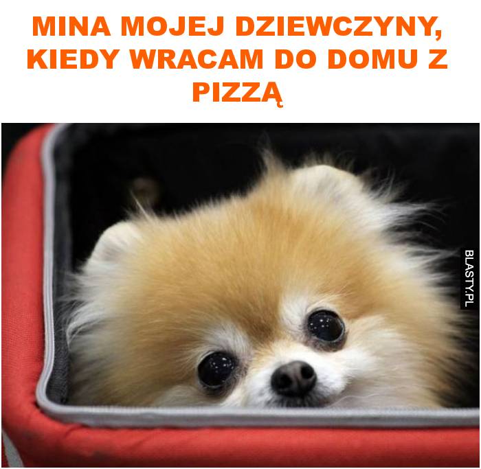 Mina mojej dziewczyny, kiedy wracam do domu z pizzą