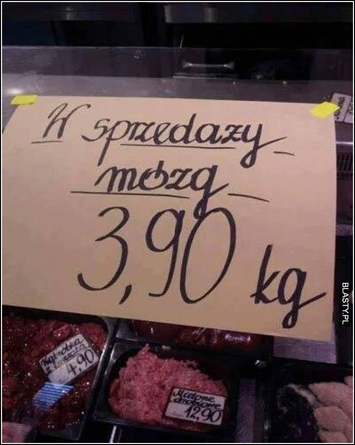 Mózg promocyjna cena