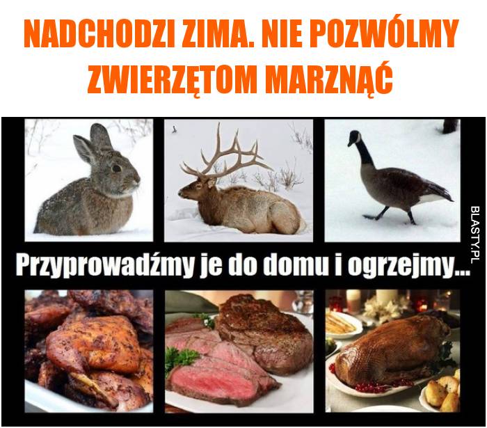 Nadchodzi zima. Nie pozwólmy zwierzętom marznąć