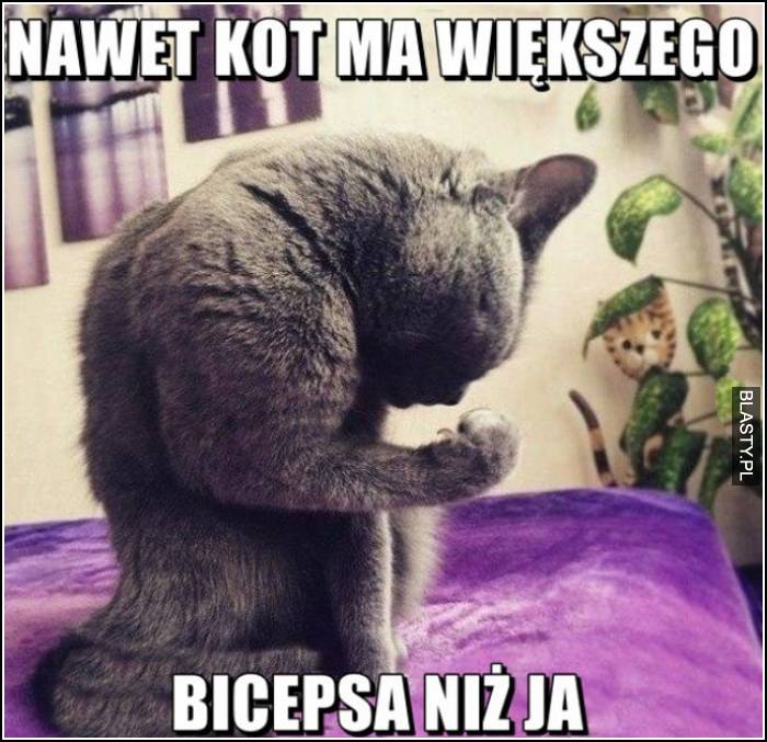 nawet kot ma większego