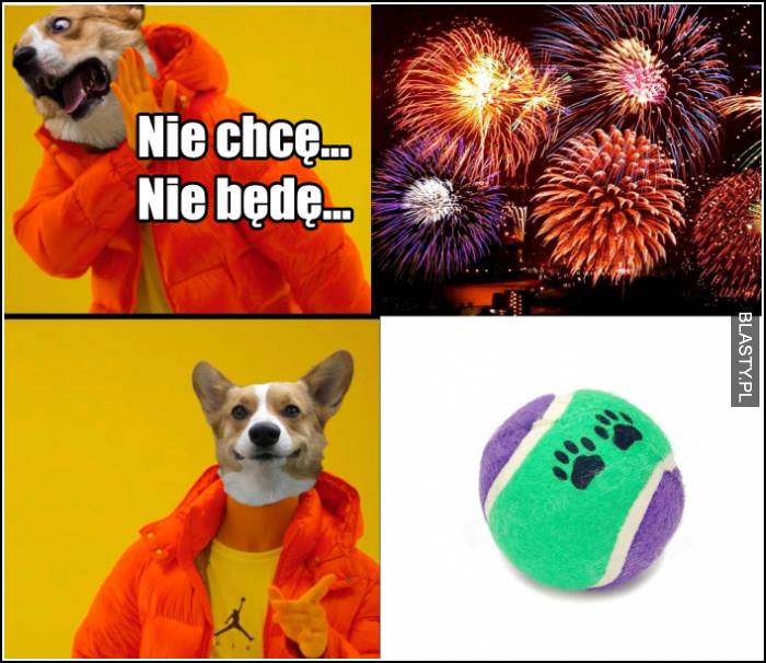 nowy rok wg. psów