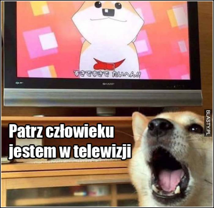 Patrz człowieku jestem w telewizji