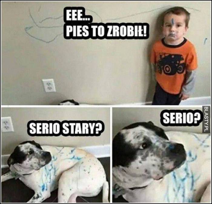 pies to zrobił