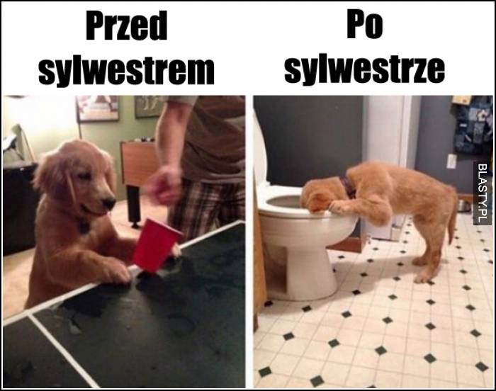 przed i po sylwestrze