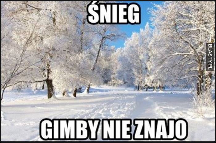 Śnieg - gimby nie znajo