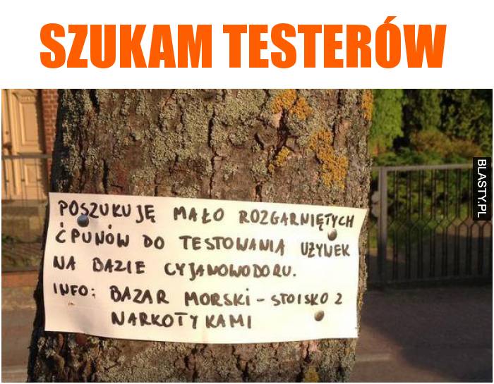 szukam testerów