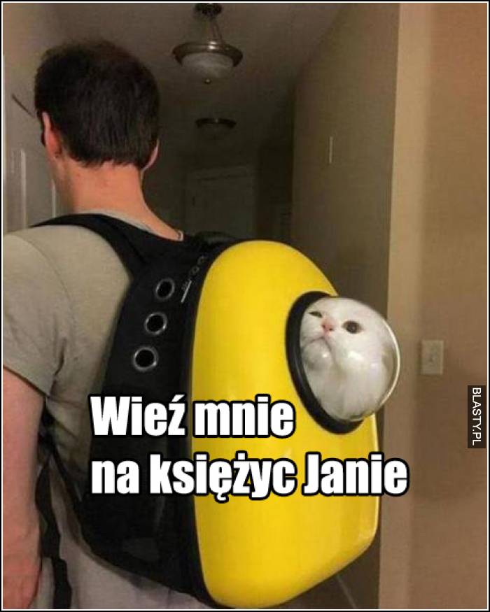 Wieź mnie na księżyc Janie