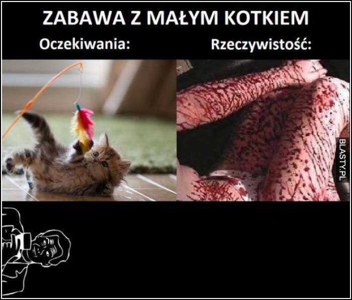 Zabawa z małym kotkiem oczekiwania vs rzeczywistość