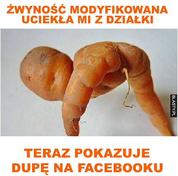 Powrót po latach - Page 5 Zwynosc-modyfikowana-uciekla-mi-z_2016-12-13_09-18-35