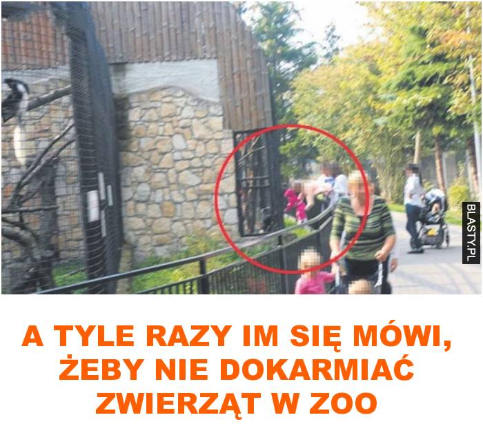 A tyle razy im się mówi, żeby nie dokarmiać zwierząt w zoo