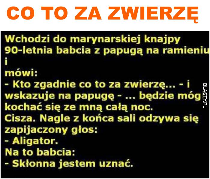 co to za zwierzę