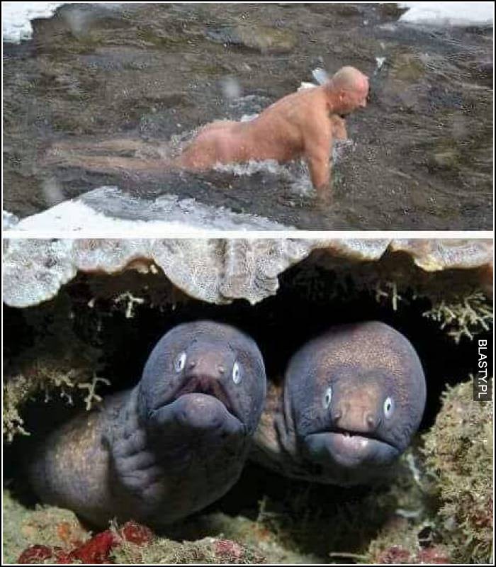 co tu się stało co tu się stało