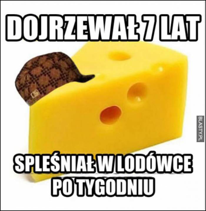 dojrzewał 7 lat spleśniał w lodówce po tygodniu