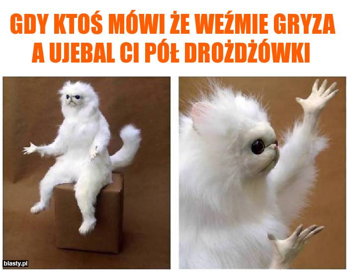 Gdy ktoś mówi że weźmie gryza a ujebal ci pół drożdżówki