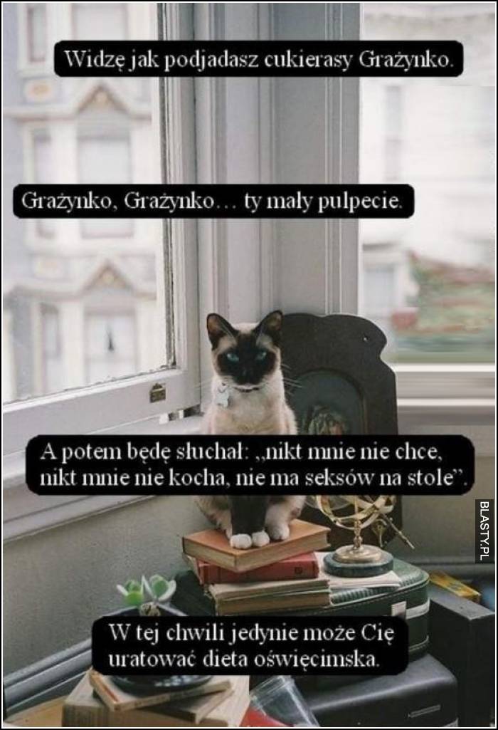 grażynko ty mały pulpecie,a potem słyszę, że nikt cię nie chce