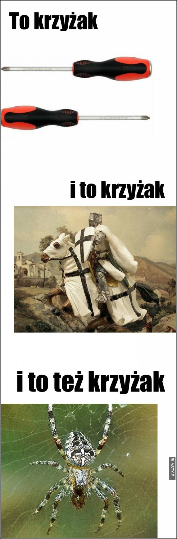 i to też krzyżak