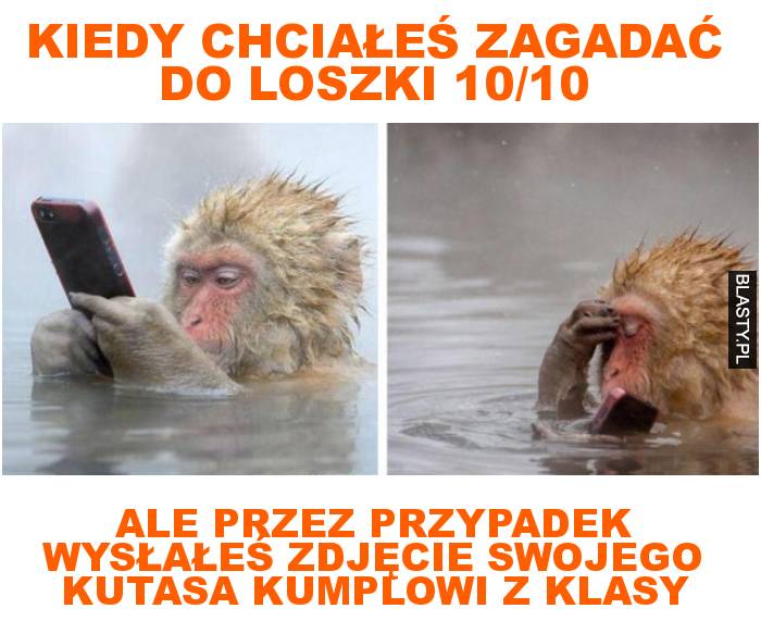 Kiedy chciałeś zagadać do loszki 10/10