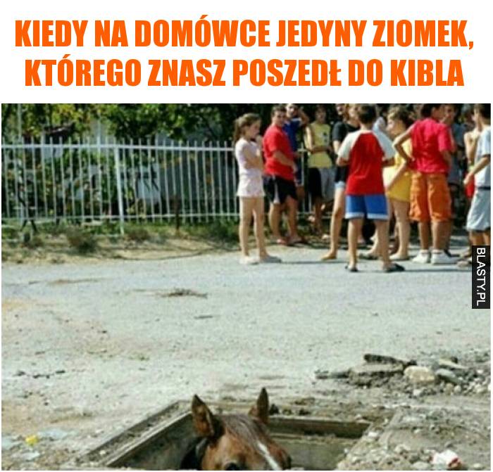 Kiedy na domówce jedyny ziomek, którego znasz poszedł do kibla