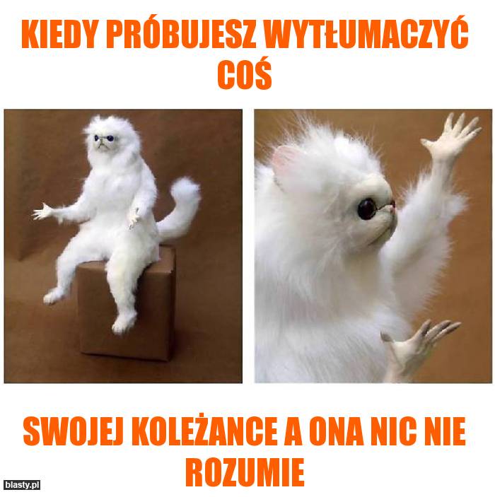 Kiedy próbujesz coś wytłumaczyć