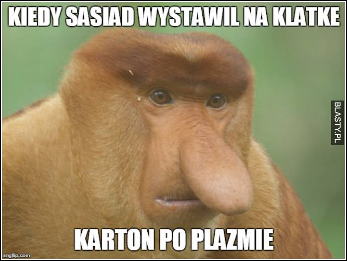 Kiedy sąsiad wystawił na klatke karton po plazmie