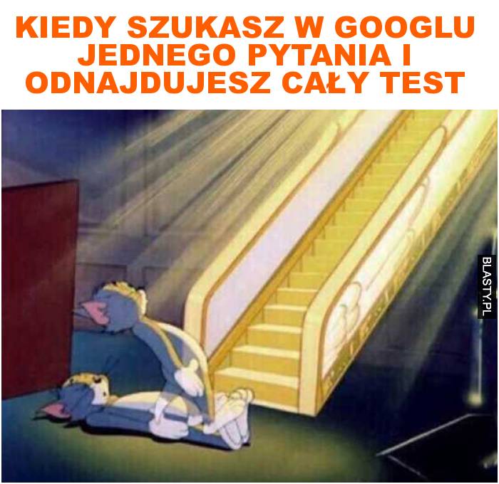 Kiedy szukasz w googlu jednego pytania i odnajdujesz cały test