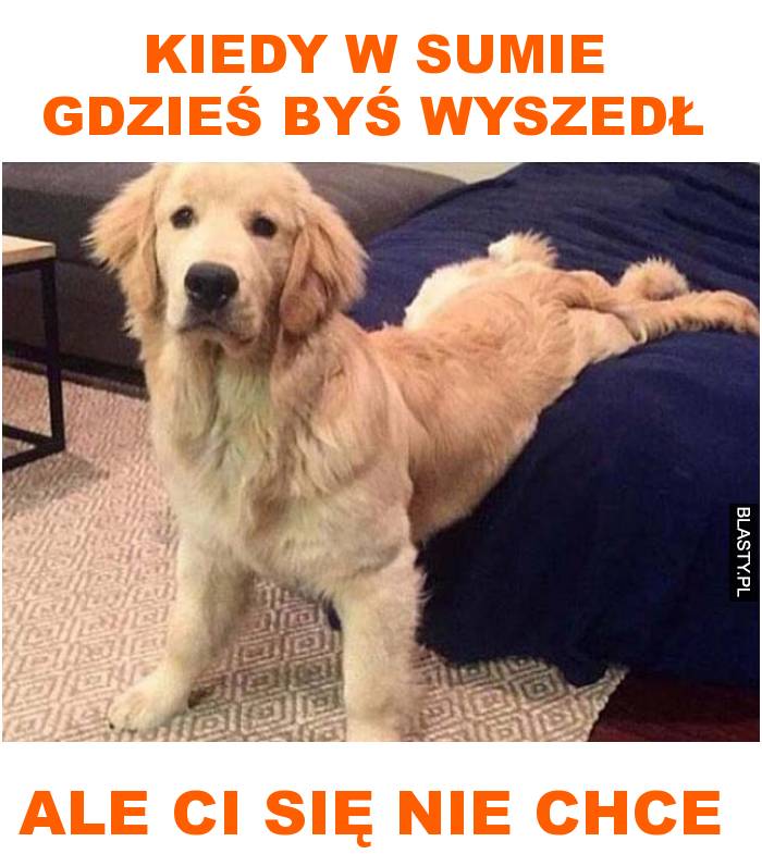 Kiedy w sumie gdzieś byś wyszedł