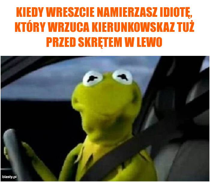 Kiedy wreszcie namierzasz idiotę, który wrzuca kierunkowskaz tuż przed skrętem w lewo