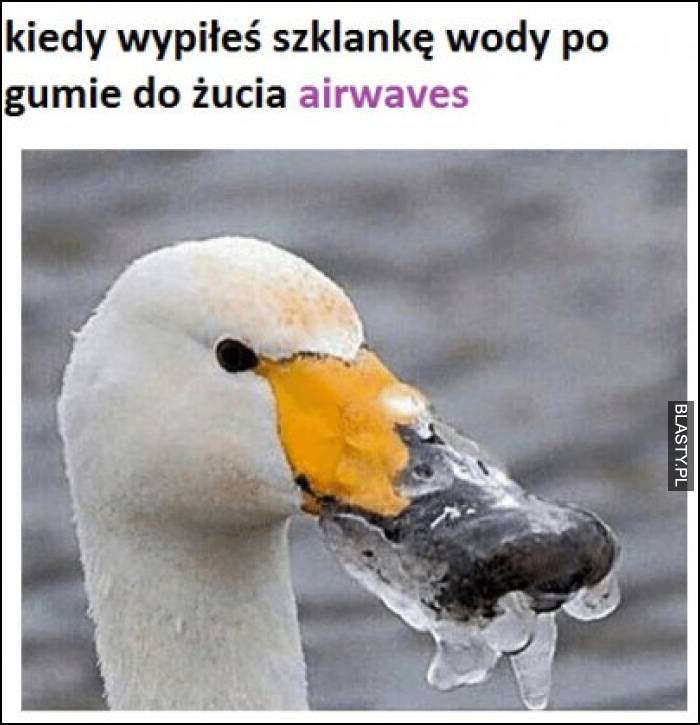 Kiedy wypiłeś szkalnke wody po gumie do żucia airvawes