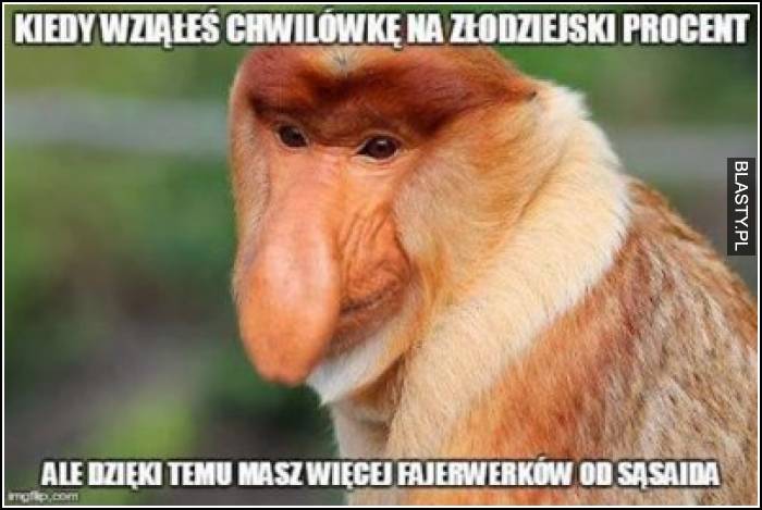 Kiedy wziąłeś chwilówkę na złodziejski procent ale dzięki temu masz więcej fajerwerków