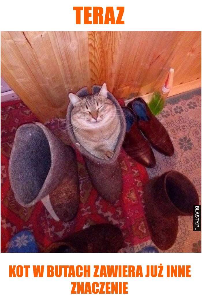 kot w butach