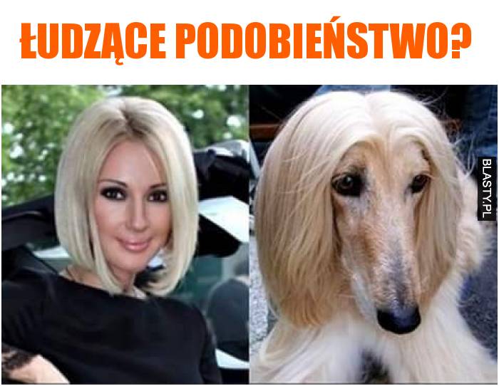 łudzące podobieństwo