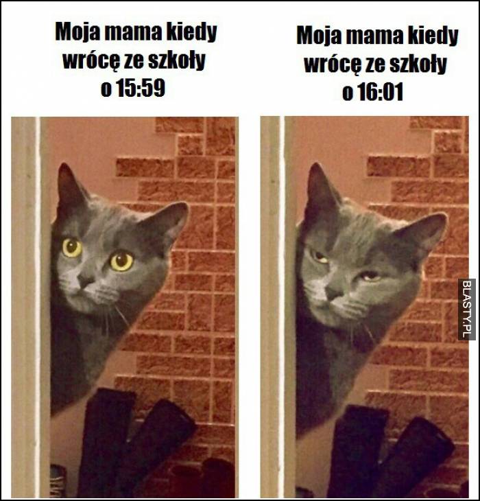 Moja mama kiedy wróce ze szkoły