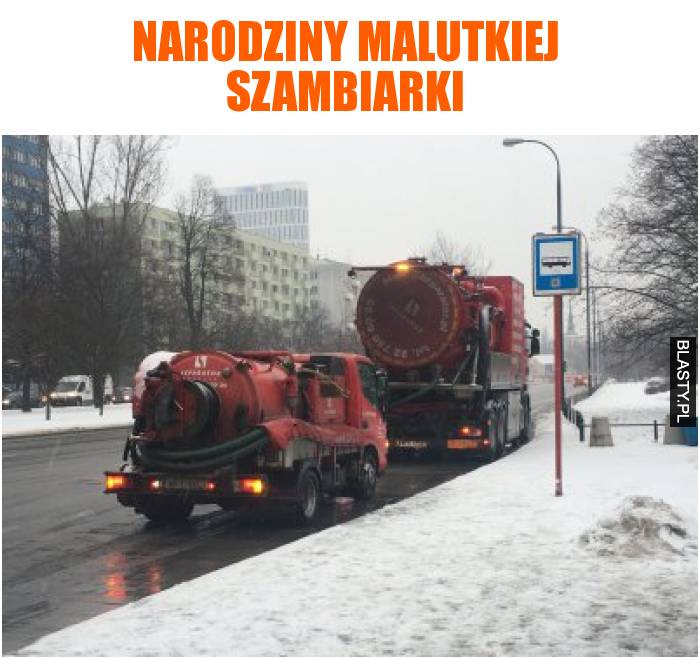 Narodziny malutkiej szambiarki