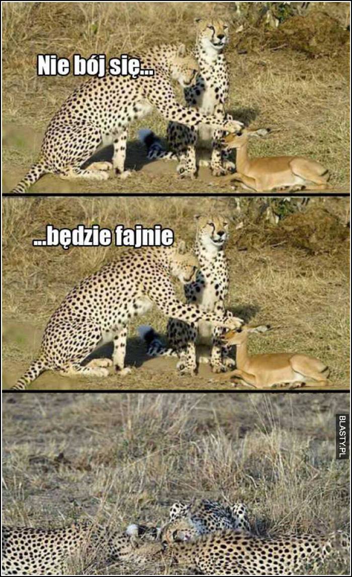 nie bój się, będzie fajnie