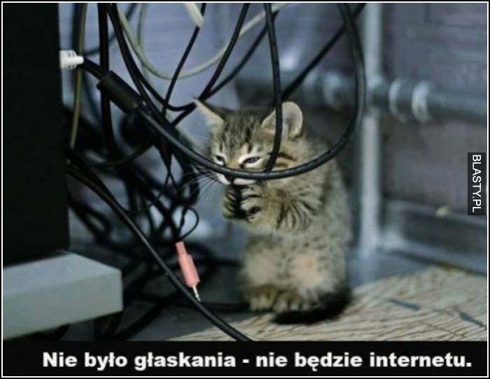 nie było głaskania nie będzie internetu