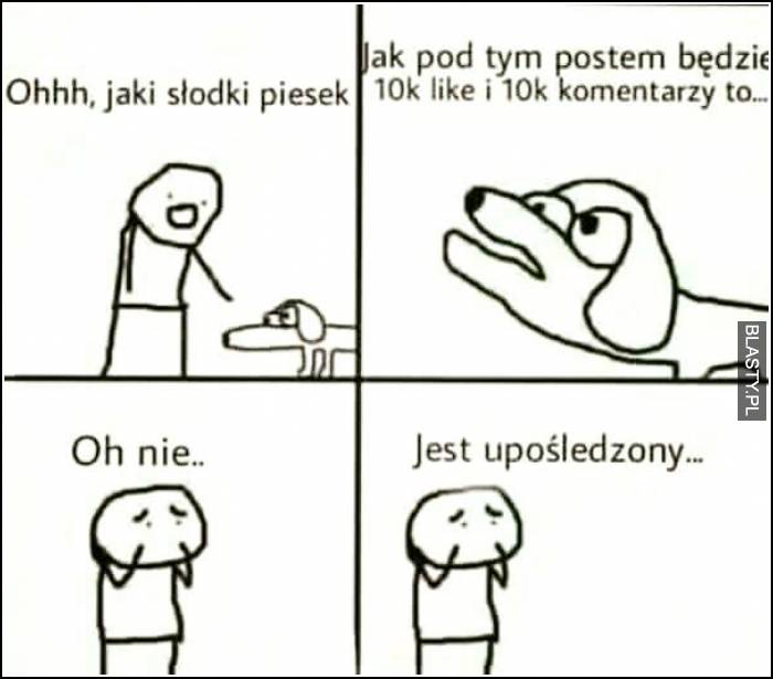 Oh jaki słodki piesek