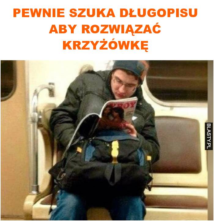 pewnie szuka długopisu aby rozwiązać krzyżówkę