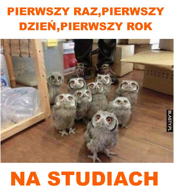 pierwszy raz,pierwszy dzień,pierwszy rok na studiach