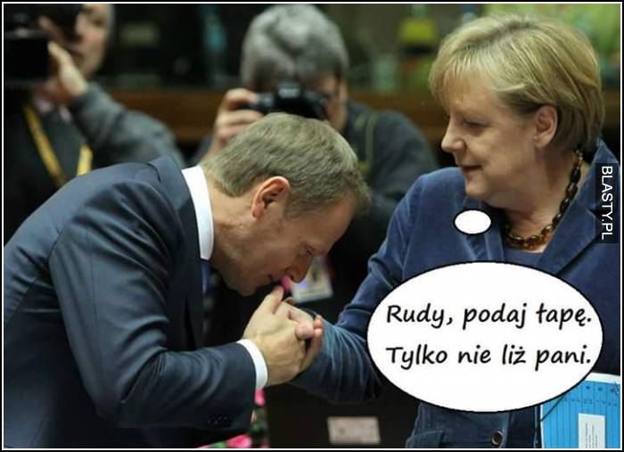 podaj łapę tusk