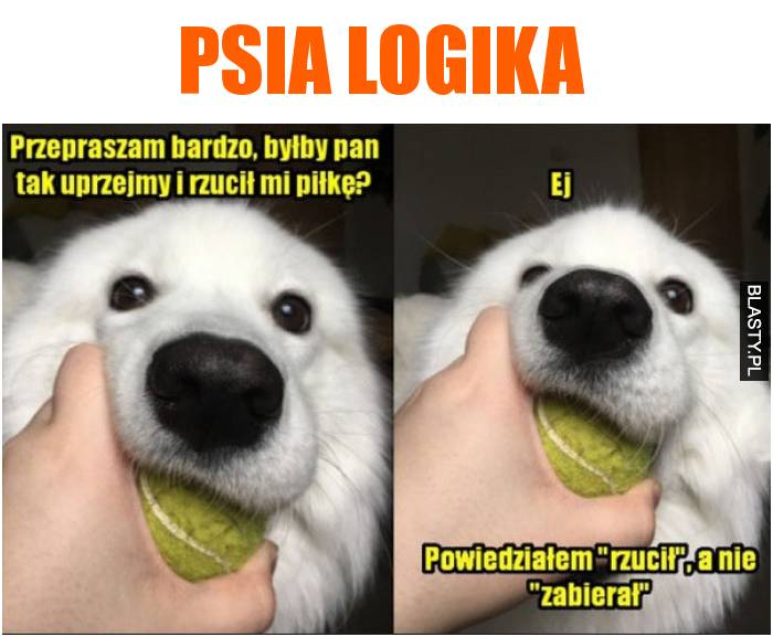 psia logika