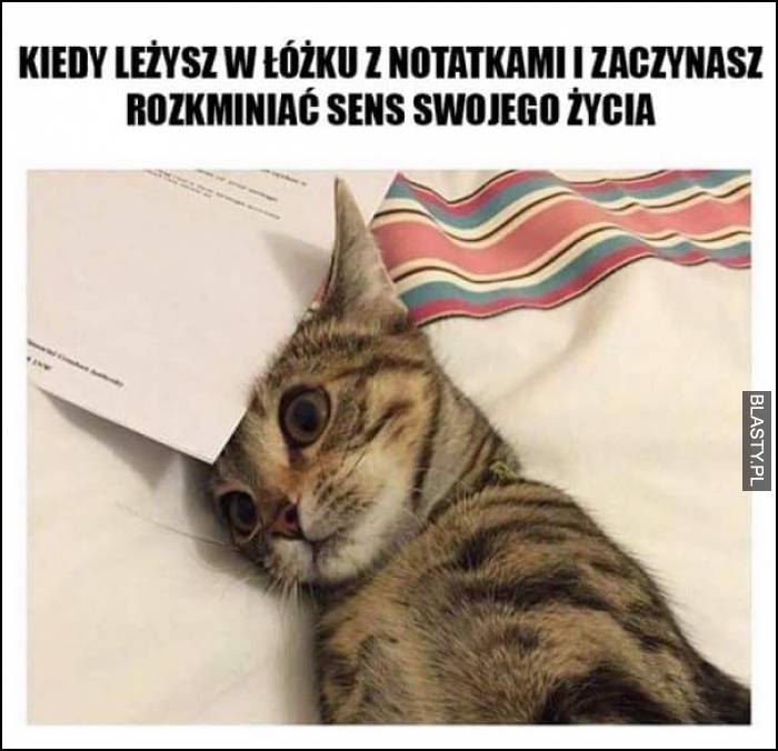 sens życia sens życia