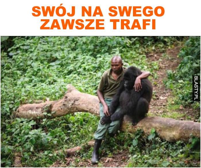 swój na swego zawsze trafi