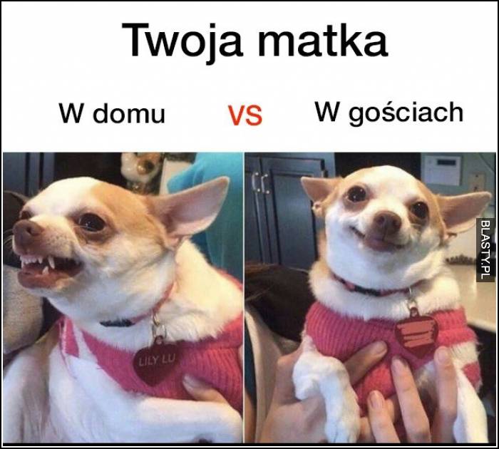 Twoja matka