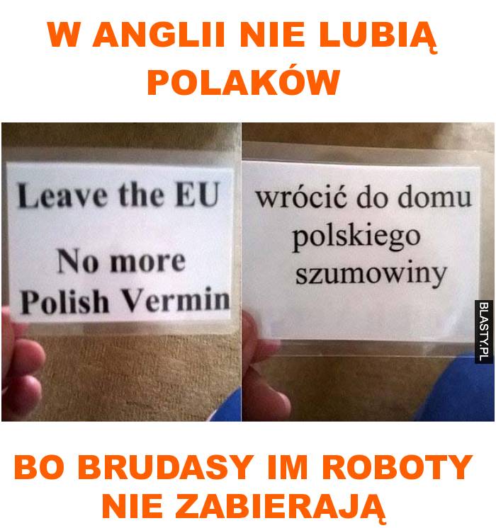 w Anglii nie lubią polaków